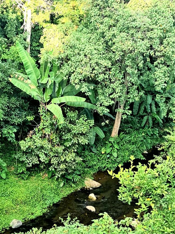 Holiday Cottage By The River, Arusha Eksteriør billede